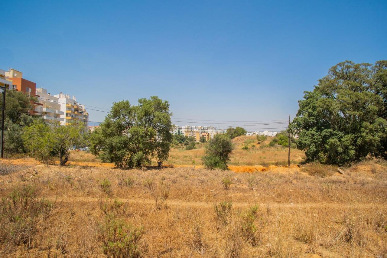 Apartament Hamall Host *